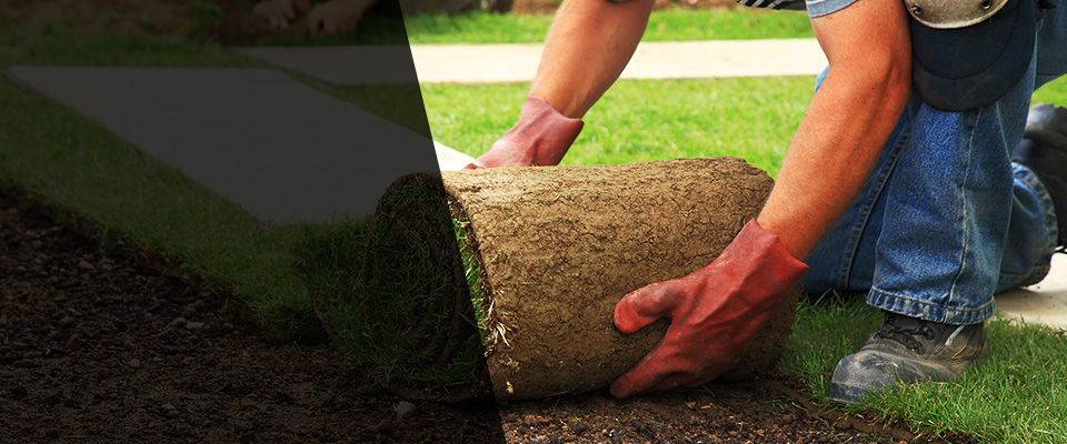 Mary Esther Landscapers